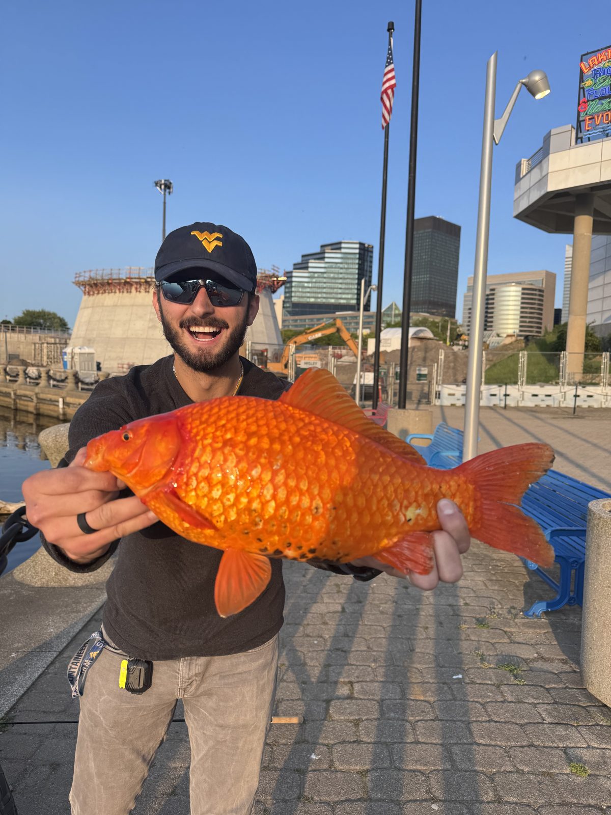 A giant goldfish I caught